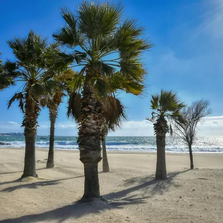 Apartman Le Mediterranee-2 By Interhome